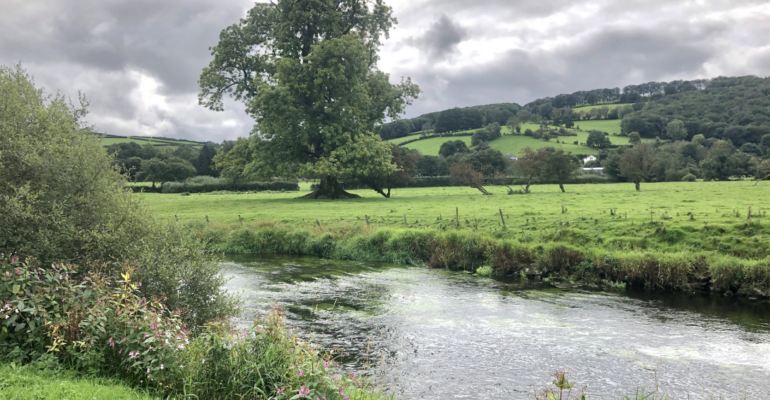 River Teifi